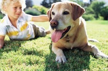 如何克服恐狂症,如何摆脱恐病症心理