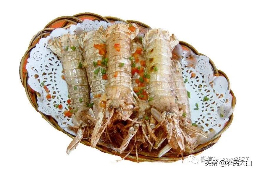 不准吃野生动物,禁止吃野味