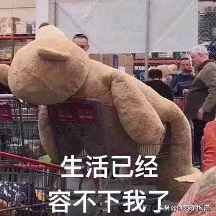 聊天小技巧女生篇,情侣聊天回复技巧女生版