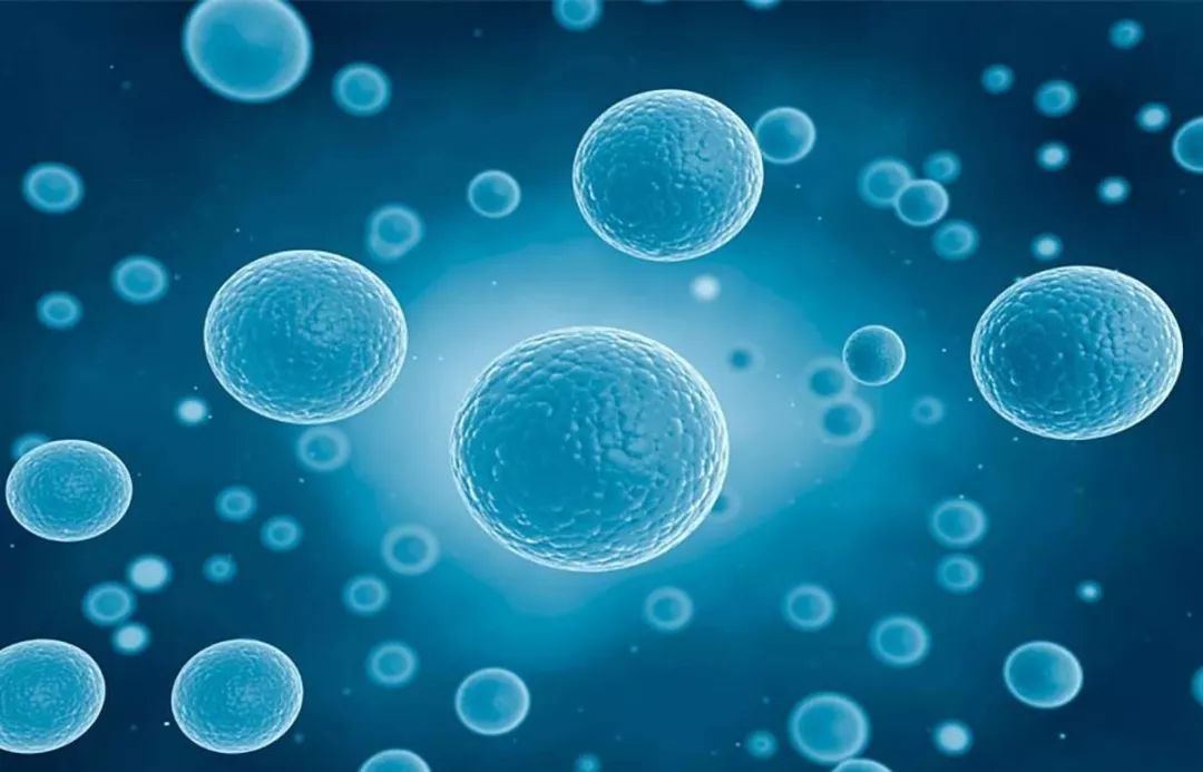 增肌太慢有什么高强度锻炼方法,增肌全身训练顺序应该怎么练