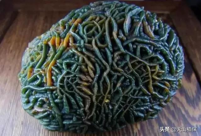 怎么捡到价值极高的石头,捡到一块石头价值千万