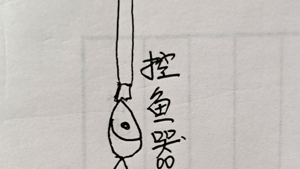 抄网鱼注意事项,抄网鱼怎么放鱼护最安全