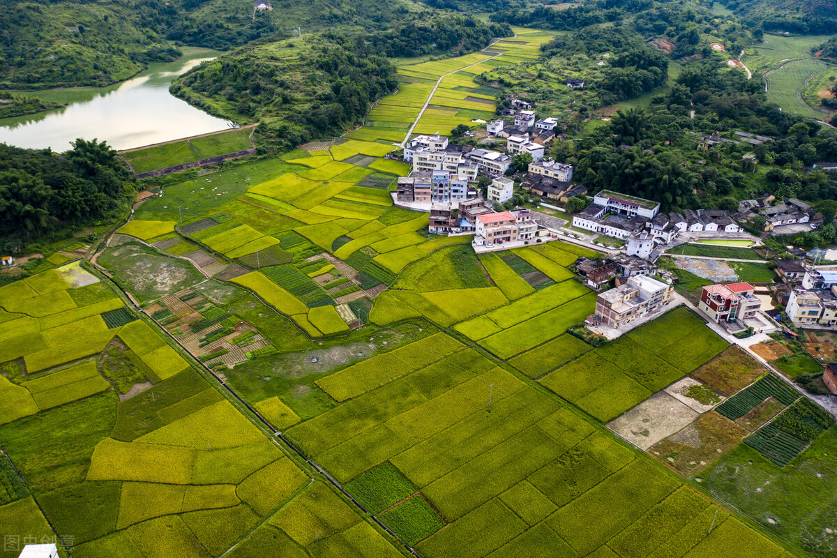 广东丰顺县卫健局刘文勇,广东丰顺县汤坑镇