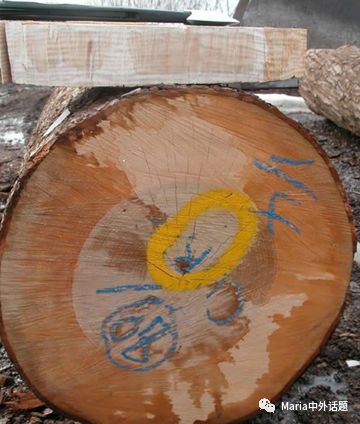 美国硬木干货价格,北美硬木排行