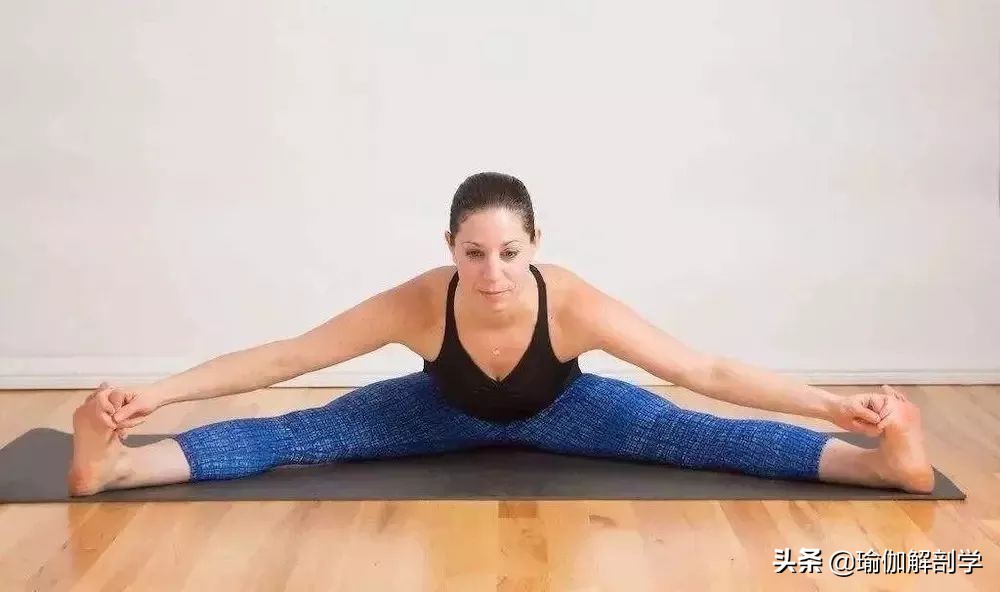 初学瑜伽必练8个基础瑜伽体式,瑜伽初学入门18个基础体式