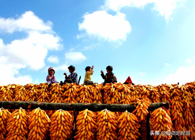 城子古村落的房子,古老的城子古村