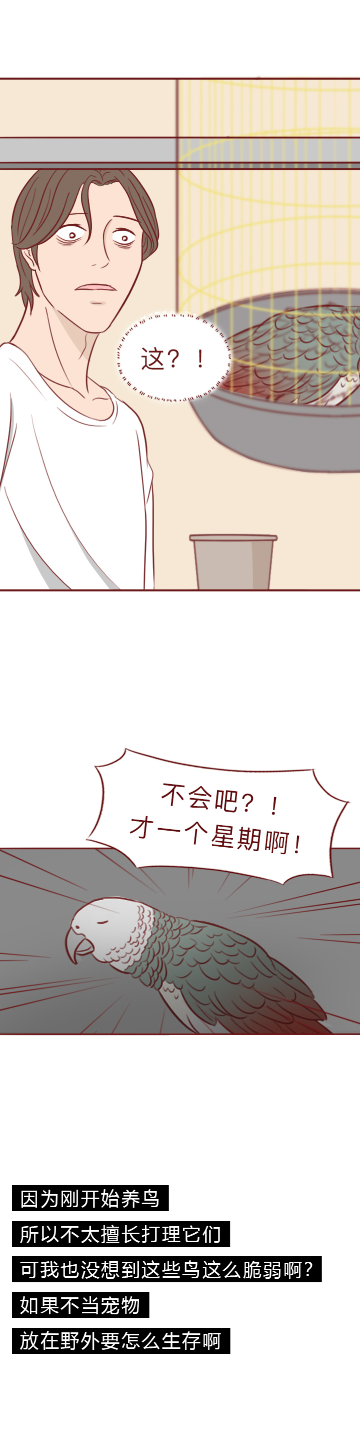 动物竟然把人当宠物一样囚禁和喂养,一部黑暗讽刺漫画