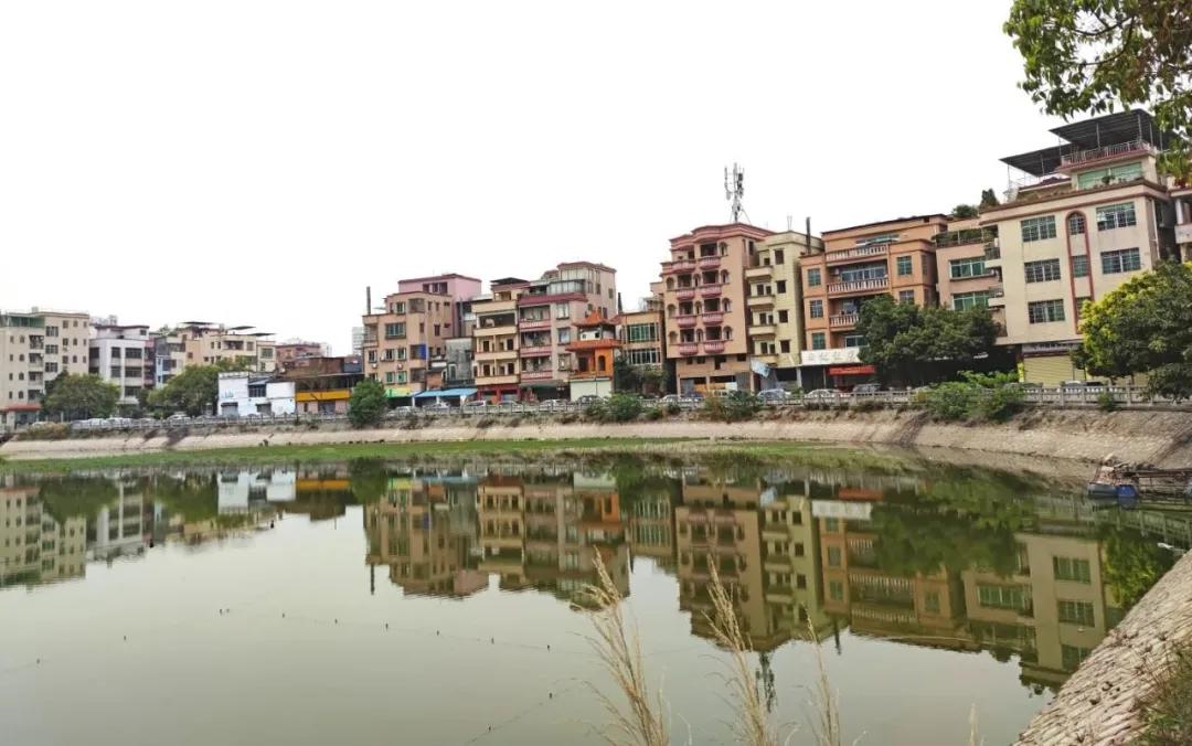 黄埔珺合府最新消息,黄埔中鼎珺和府价格