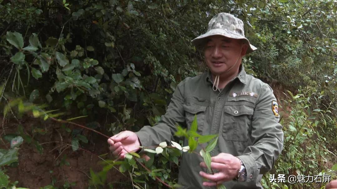 cop15浜戝崡鏄嗘槑,cop15鏂囧北