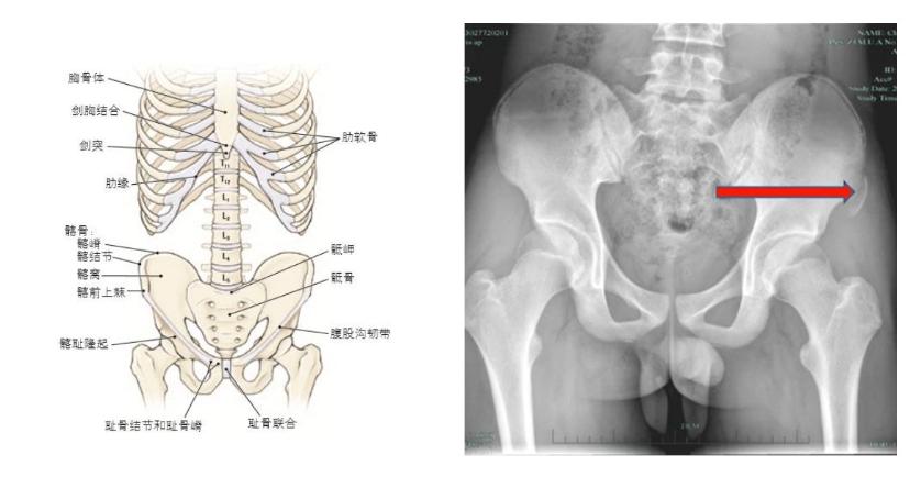 小学生800米跑步没练过怎么办,初中生800米不摔