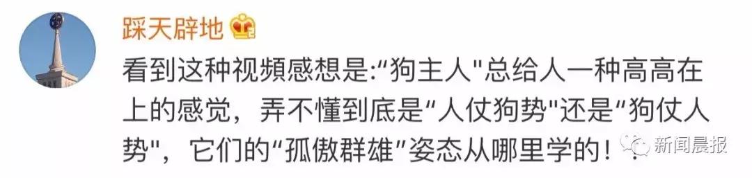 遛狗不牵绳算野狗吗,遛狗不牵狗绳咬伤别人怎么办