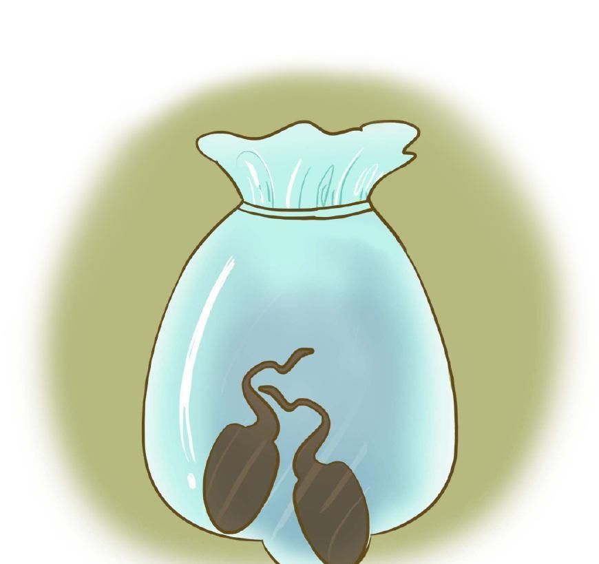 剖腹产后多久可以同房？3件事宝妈要注意