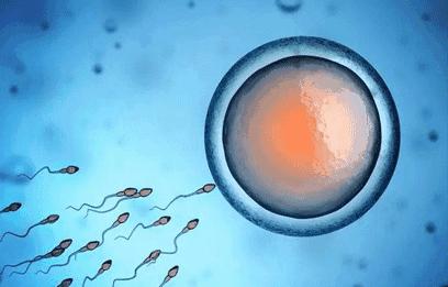 女性最佳生育年龄是多少二胎,女性最佳怀孕生育年龄