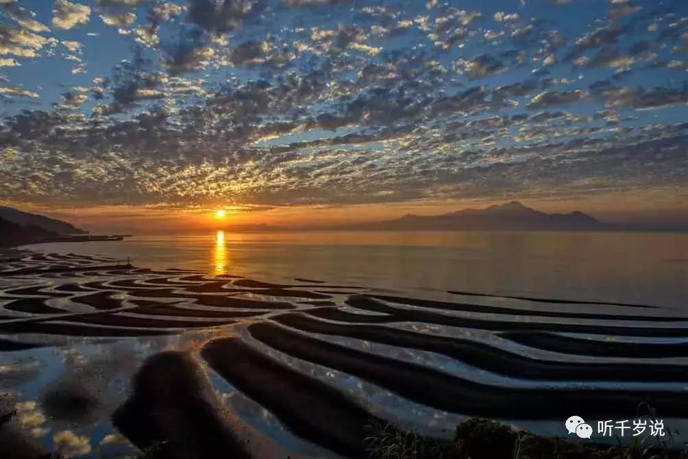 日本东京熊本熊,日本熊本游