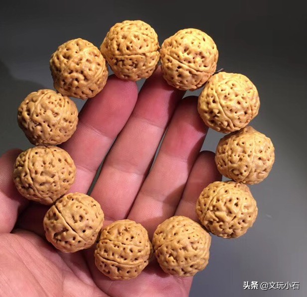 金刚菩提入门知识，新手必备，掌握了三言两语就能让别人刮目！