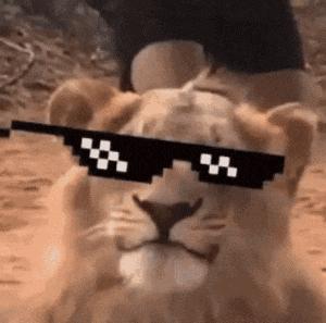 这才是社会该有的样子,这才是社会原本的样子