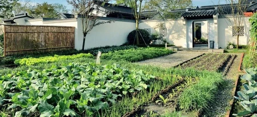 红光新城西安市,红光新城