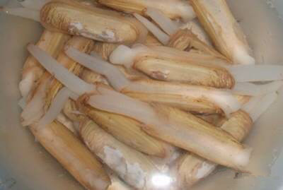 海鲜大全,最全海鲜冷知识