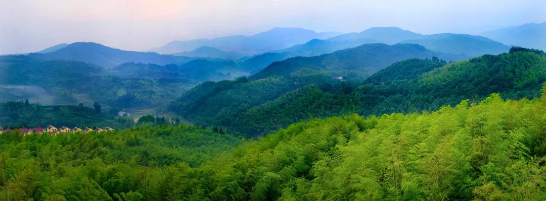 抗肺炎疫情我们在行动,抗击疫情路上我们在行动