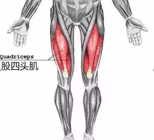 膝盖关节炎骨刺用什么药缓解疼痛,受冷膝盖长骨刺能治好吗