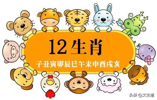 猫猫为什么不在12生肖里面,十二生肖为什么没有猫咪呢