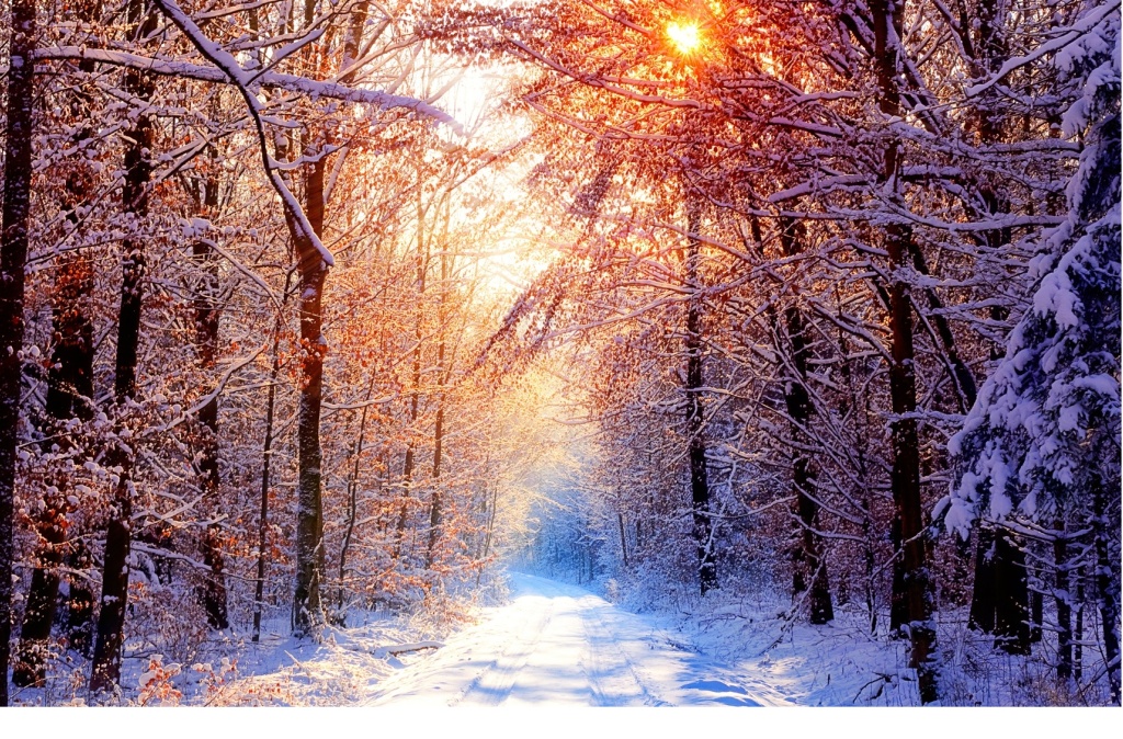 高考志愿填经济学有什么要求,高考填志愿有哪些好的专业