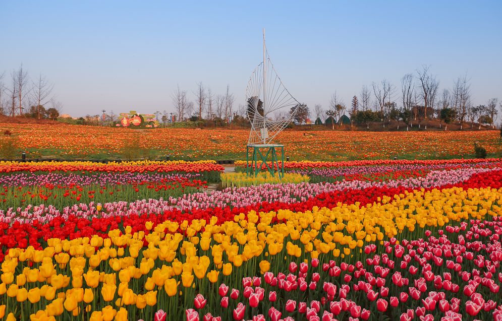 遂宁算不算四川第二大城市,四川南充一座被低估了的魅力之城