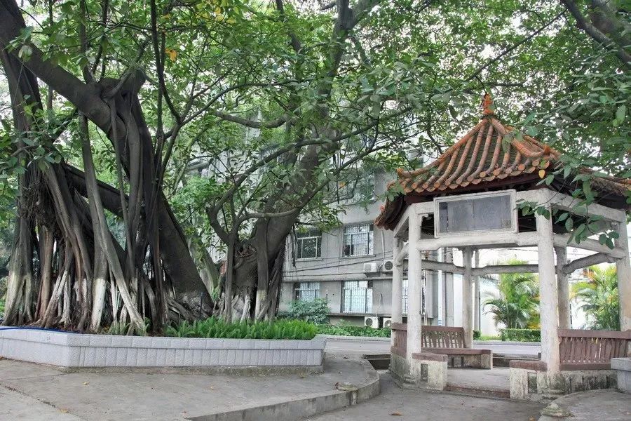 曾是中国命运的转折点！这家宝藏船厂你知道吗？