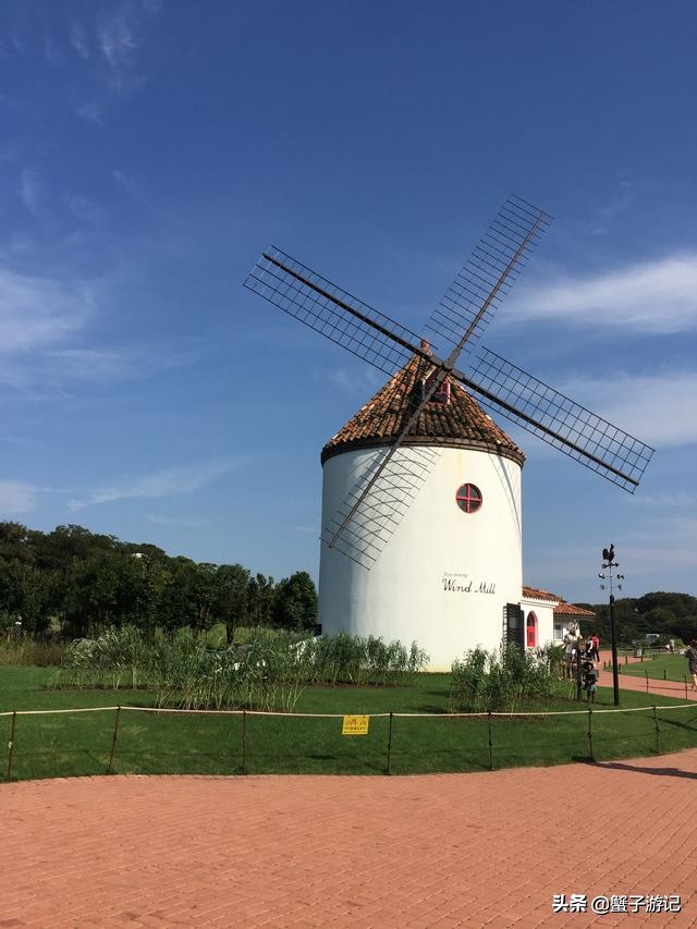 济州岛五天四晚超详细攻略，纯干货呦