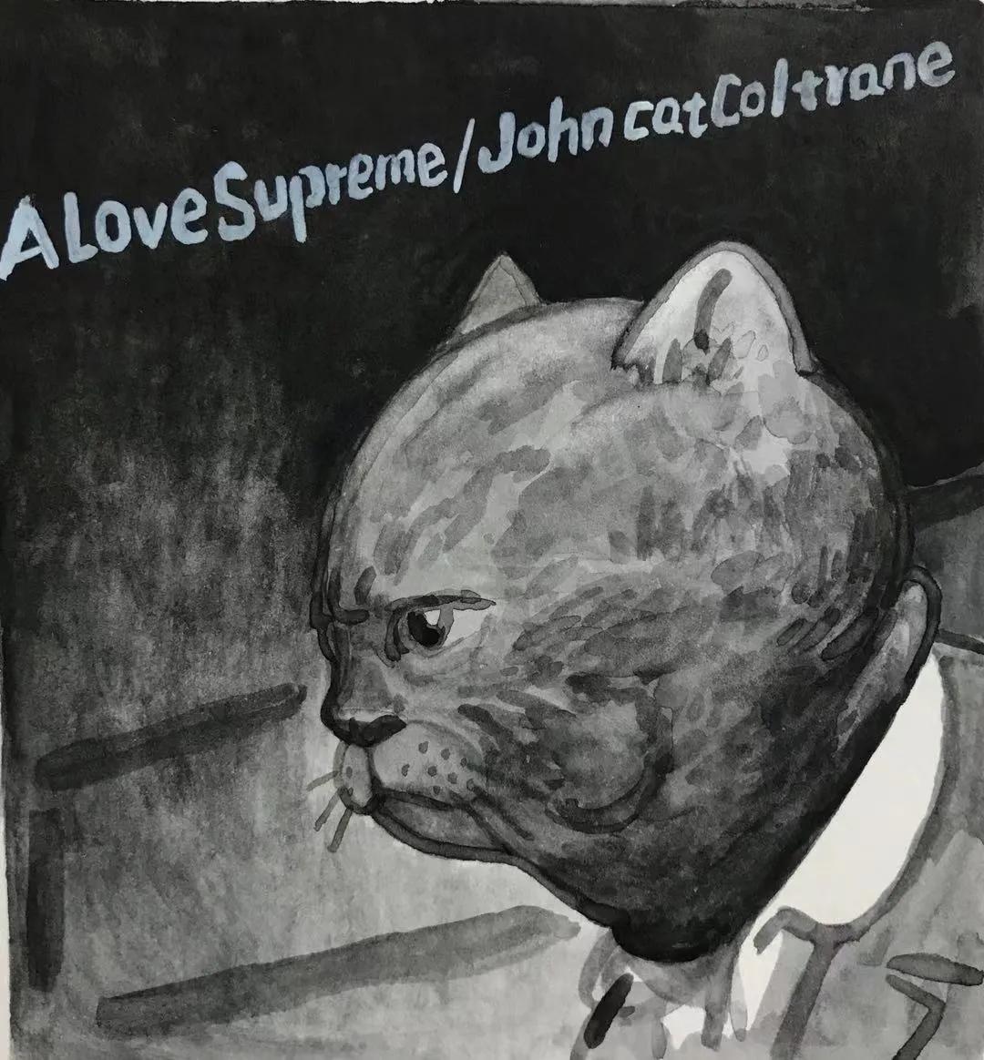 猫和唱片的共通之处？“都很破财！”|专访画家健一