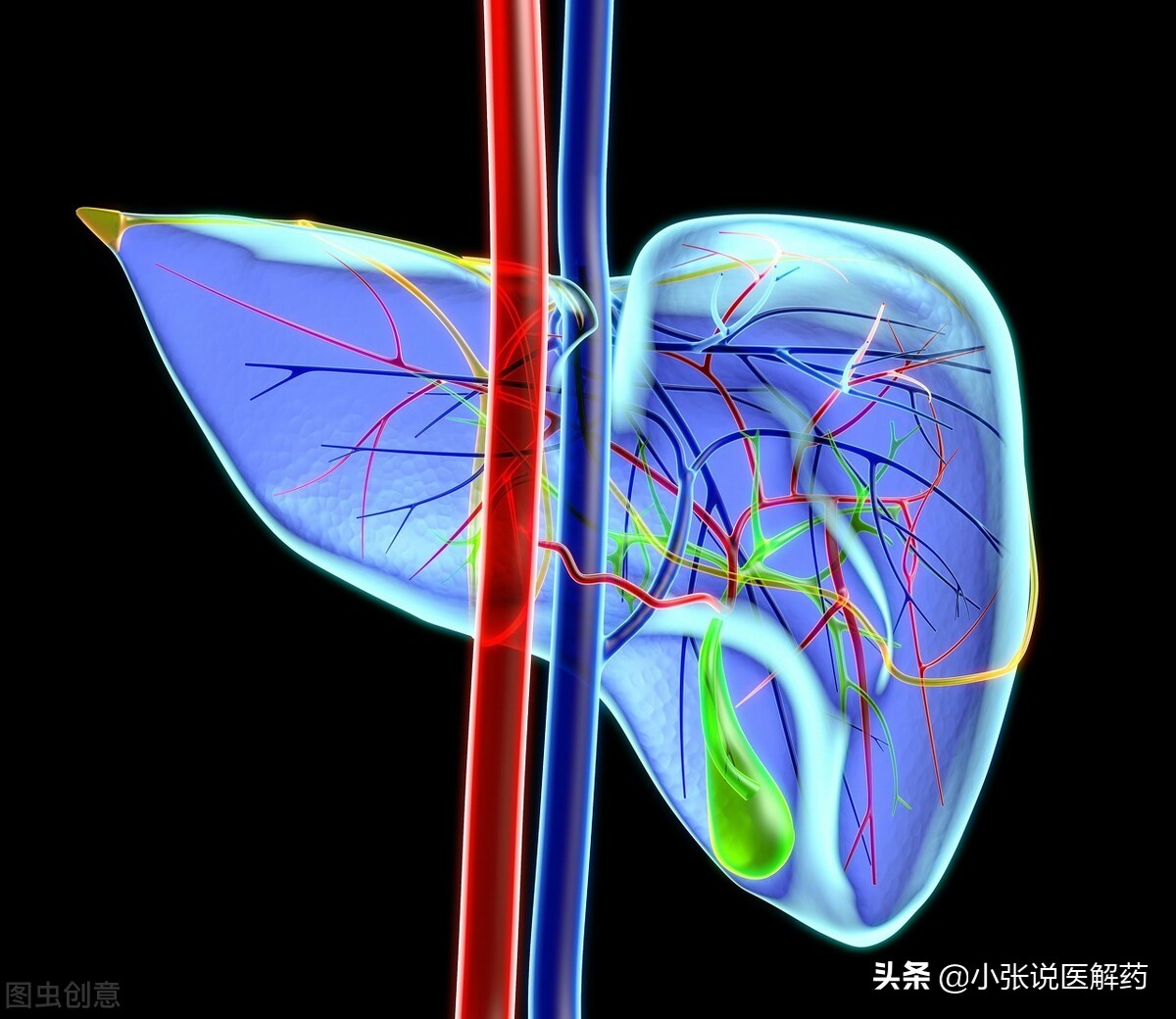李兰娟谈5-10年消灭乙肝,李兰娟谈抗病毒治疗