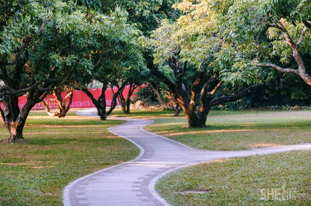 疫情期间免费开放的公园,疫情期间开放的公园有哪些