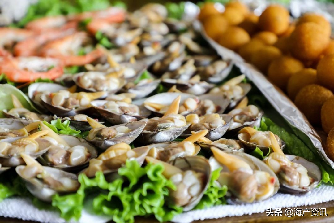 黄渤海海鲜种类,黄渤海渔场海鲜价格