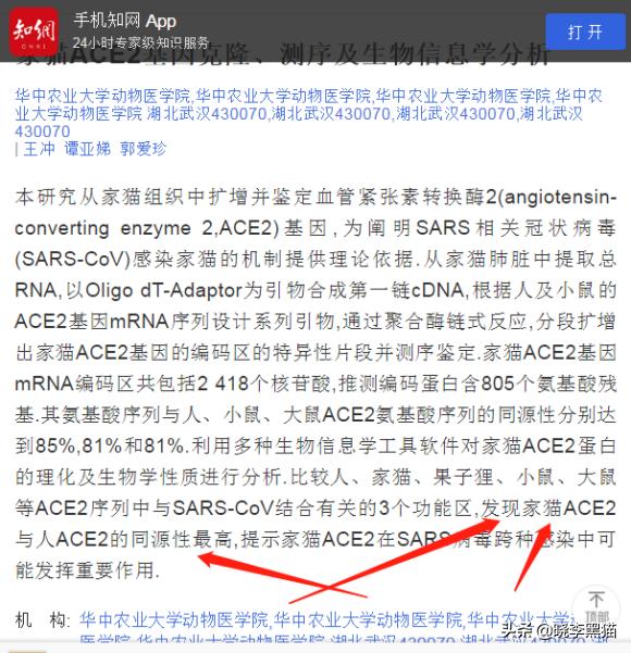 养猫家庭新冠对策全知道，别再听信谣言，也别再想当然了