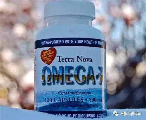 海拍汇吃还是不吃，这是个问题