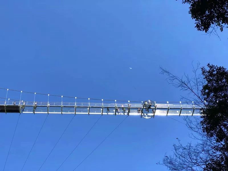 宁波五龙潭玻璃桥感觉怎么样,宁波五龙潭风景区玻璃桥