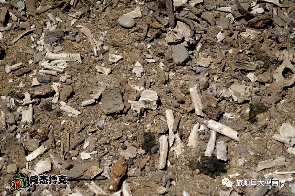 旅顺口大传—旅顺大*杀屠**