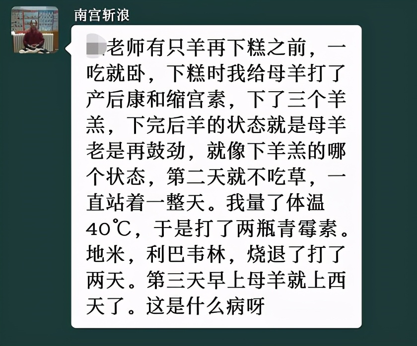 羊退烧以后不吃草光喝水,羊产羔后食欲不振怎么回事
