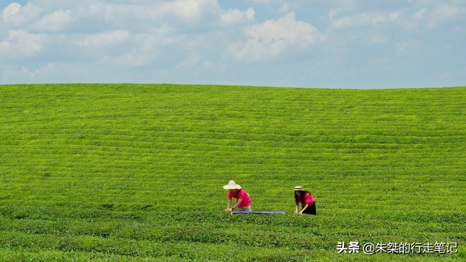 中国有哪些异域风情的地方,西南少数民族风情游