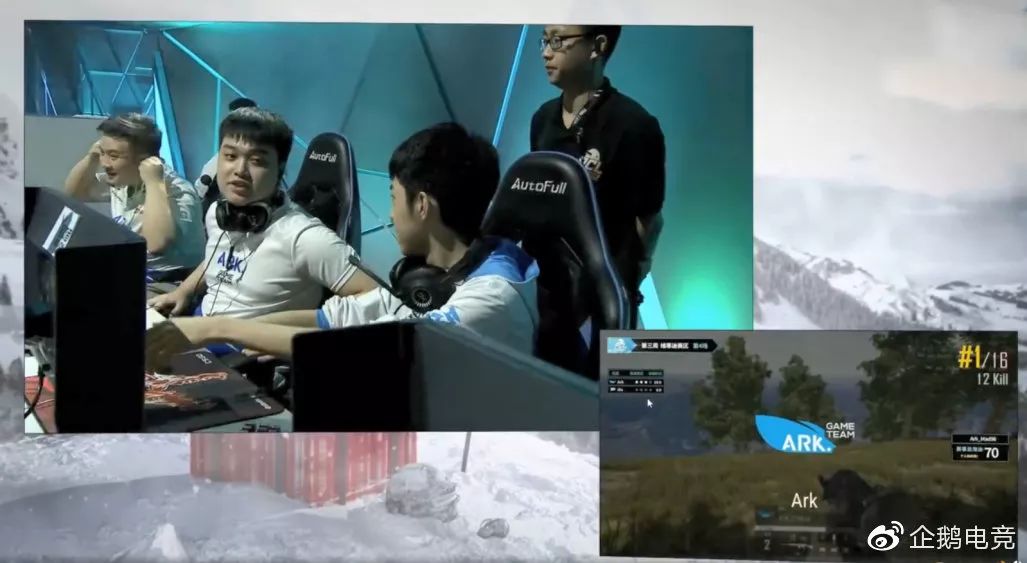 企鹅军团来袭,企鹅军团最新消息