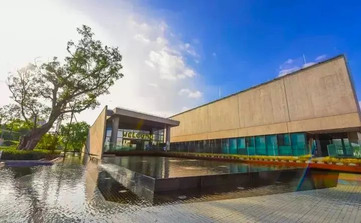 上海闵行区不需要摇号的民办学校,不用摇号就能上的民办小学