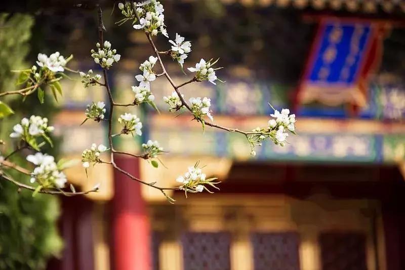 中国古代哲学名言大全,中国古代哲学名言名句汇总