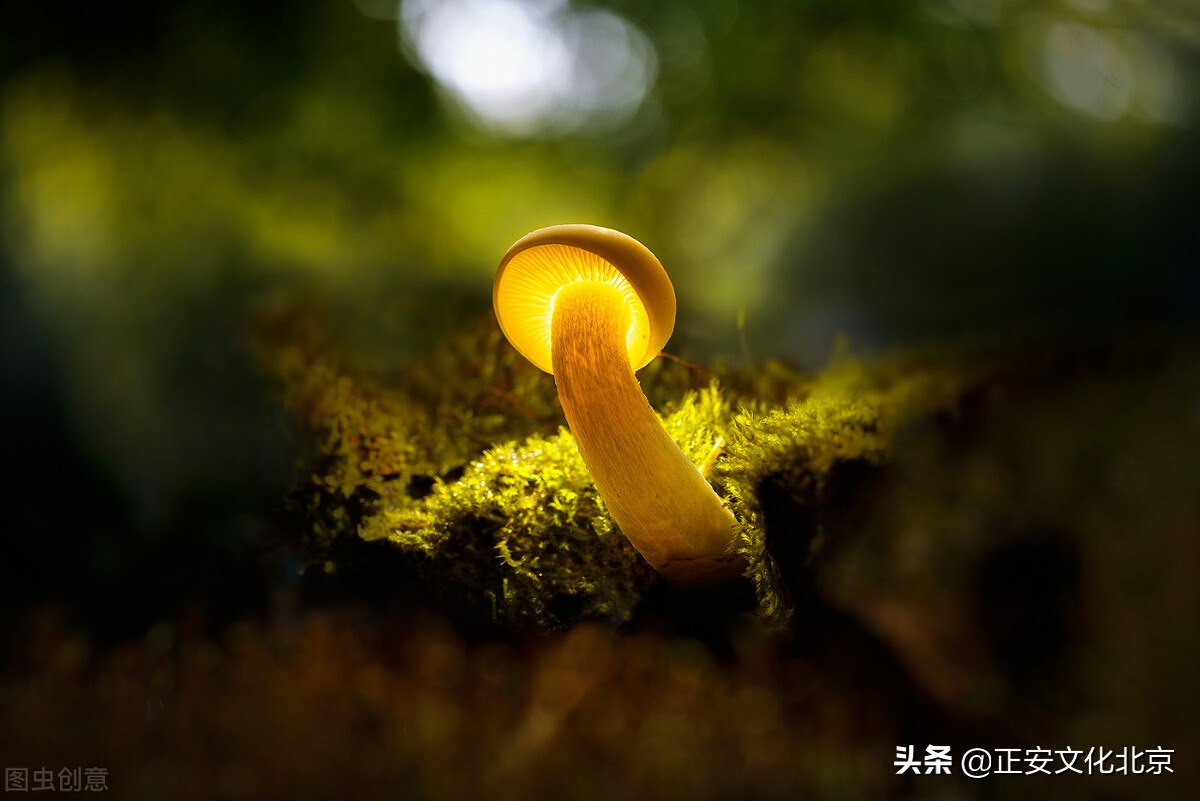 怎样养阳气和正气,正气不足怎么调理最有效