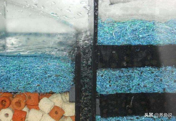 简易鱼缸没有过滤器怎么让水干净,鱼缸过滤器材怎么放效果最好