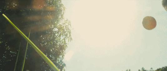 贝利传奇的诞生解说,贝利的传奇逆袭