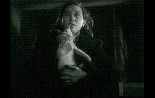 万家灯火具象化,万家灯火纯手绘