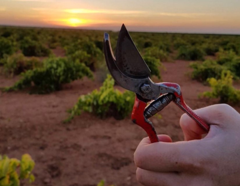 最具性价比的五款酒,100元左右公认十款性价比高的酒