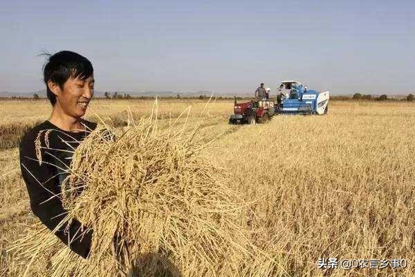 年后不想打工做什么生意好,不想出去打工农民出路在哪