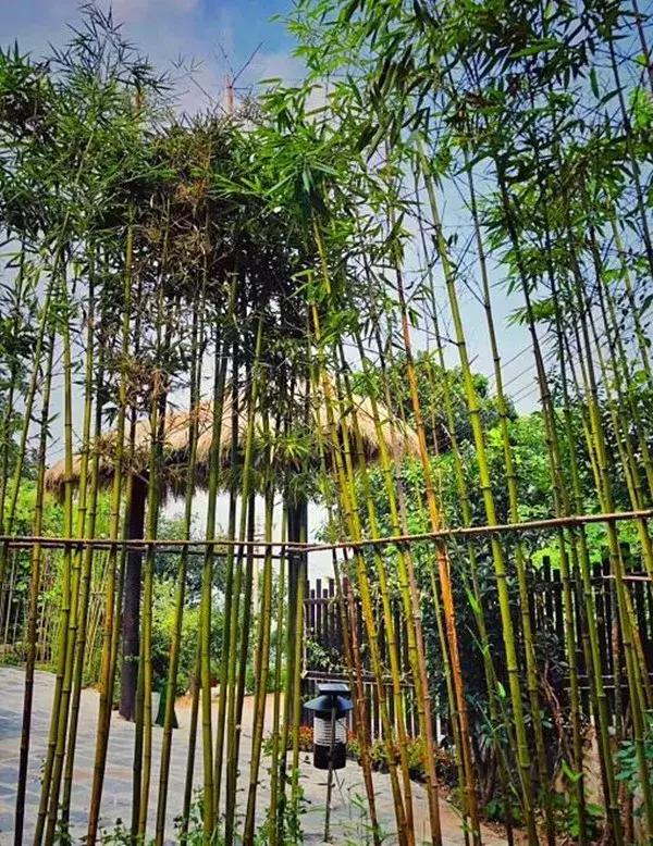 西安周边最好民宿自驾游推荐,西安秦岭周边民宿排行榜前十名