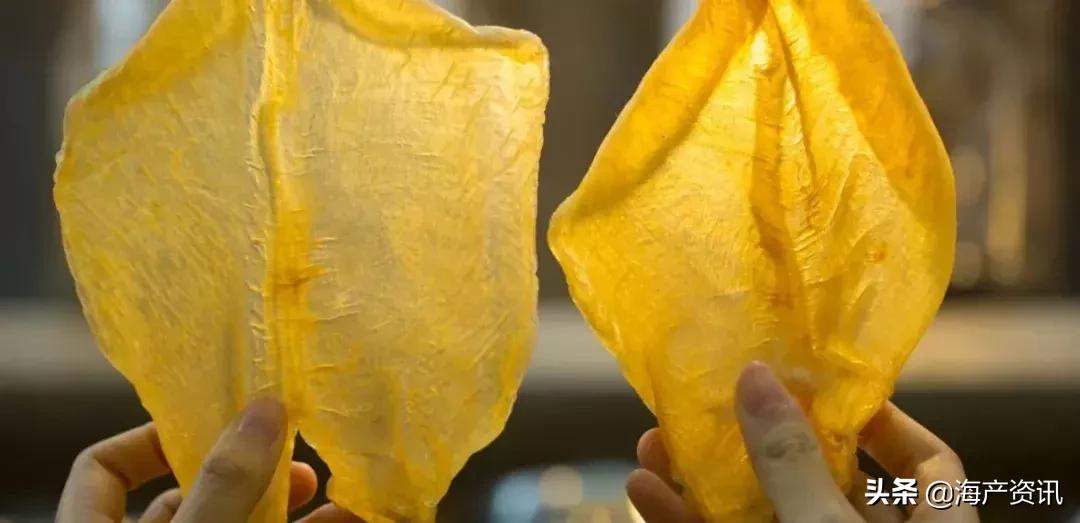 花胶正宗做法大全,花胶高级吃法做法大全